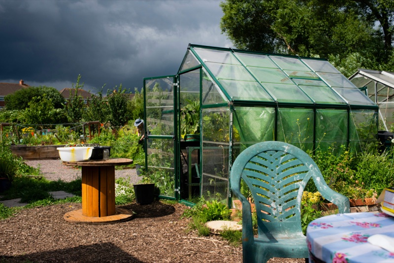 Well-tended allotment plot with raised vegetable beds and productive growing areas