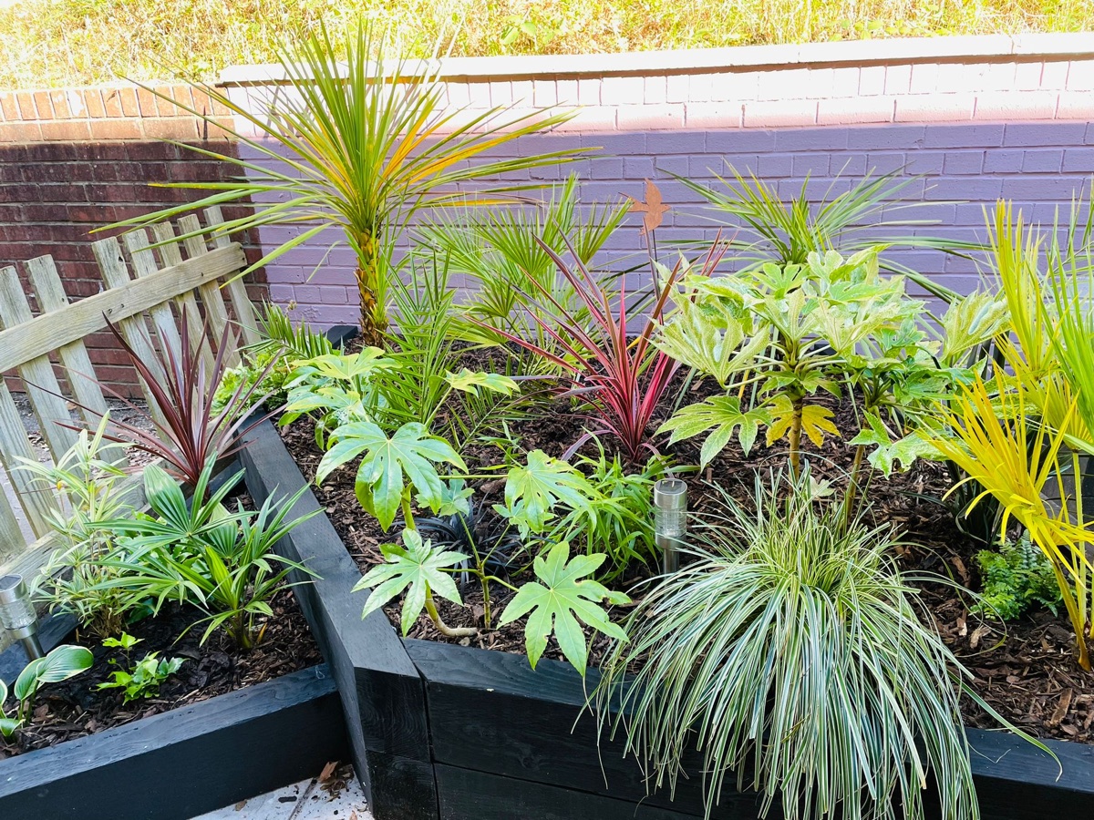Shaded garden border with lush ferns, hostas and shade-loving plants