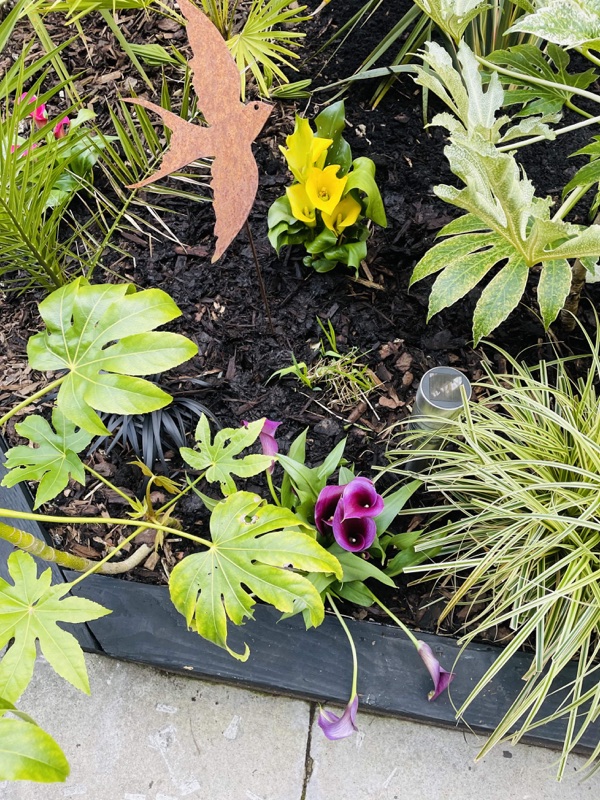Colourful planting in a Cotswolds garden