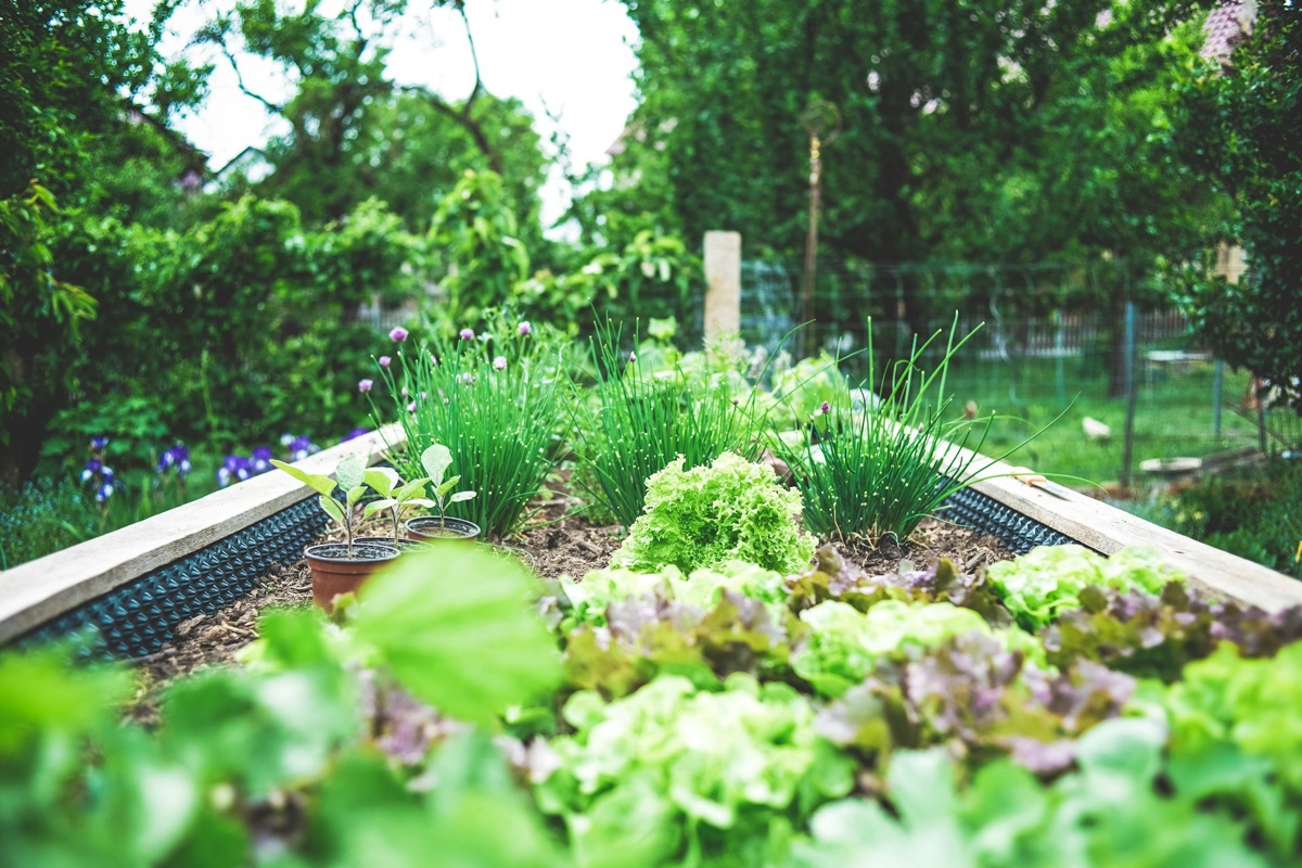Gardener at work in a beautifully maintained Cheltenham garden